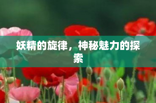 妖精的旋律,神秘魅力的探索 妖精的旋律,神秘魅力的探索