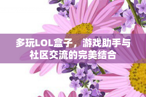 多玩LOL盒子，游戏助手与社区交流的完美结合