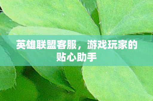 英雄联盟客服，游戏玩家的贴心助手