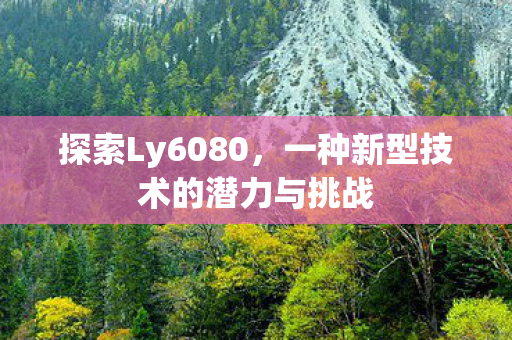探索Ly6080，一种新型技术的潜力与挑战