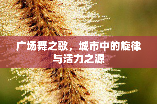 广场舞之歌,城市中的旋律与活力之源 广场舞之歌,城市中的旋律与活力之源
