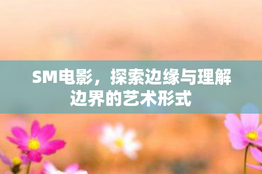 SM电影,探索边缘与理解边界的艺术形式 SM电影,探索边缘与理解边界的艺术形式