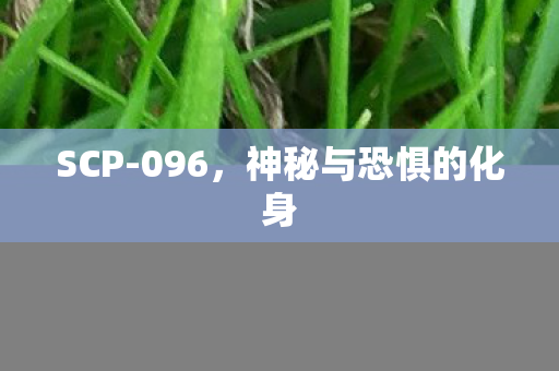 SCP-096，神秘与恐惧的化身