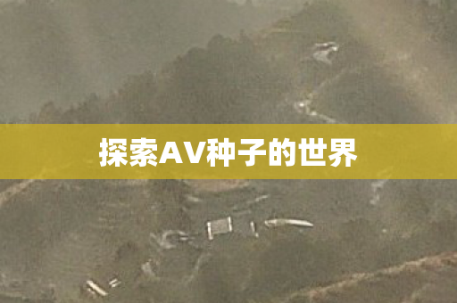 探索AV种子的世界