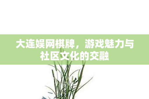 大连娱网棋牌，游戏魅力与社区文化的交融