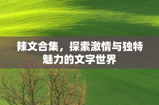 辣文合集,探索激情与独特魅力的文字世界 辣文合集,探索激情与独特魅力的文字世界