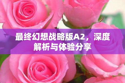 最终幻想战略版A2，深度解析与体验分享