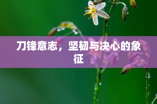 刀锋意志，坚韧与决心的象征