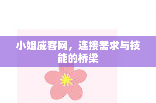 小姐威客网，连接需求与技能的桥梁