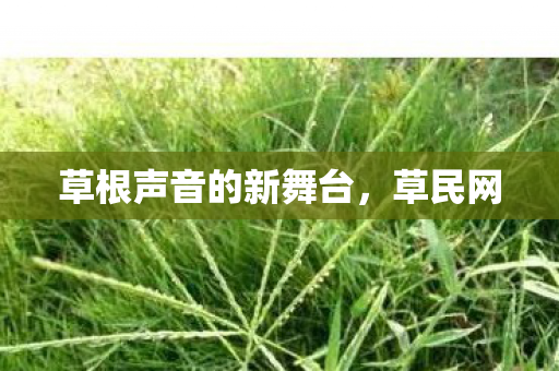 草根声音的新舞台，草民网