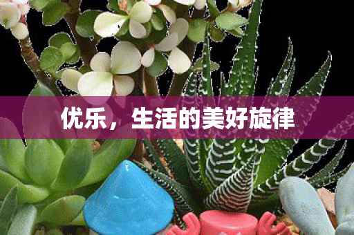 优乐，生活的美好旋律
