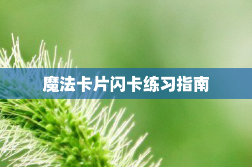 魔法卡片闪卡练习指南