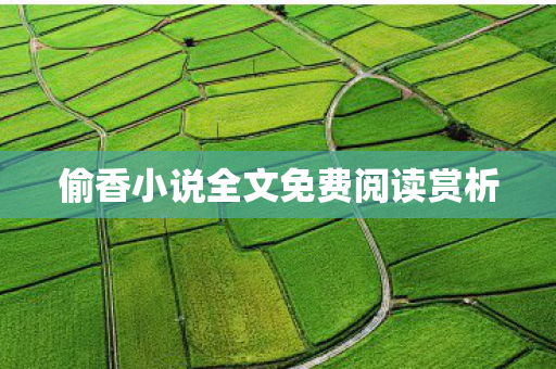 偷香小说全文免费阅读赏析