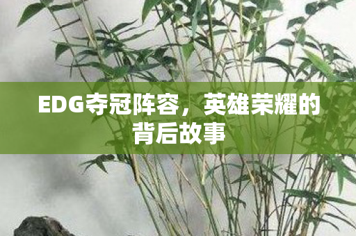 EDG夺冠阵容，英雄荣耀的背后故事