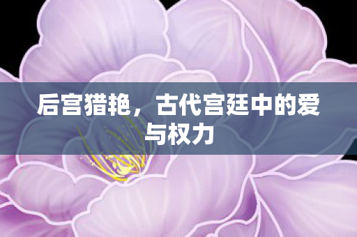 后宫猎艳，古代宫廷中的爱与权力