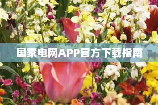 国家电网APP官方下载指南