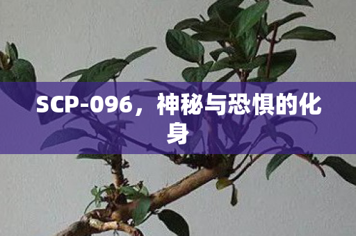 SCP-096,神秘与恐惧的化身 SCP-096,神秘与恐惧的化身
