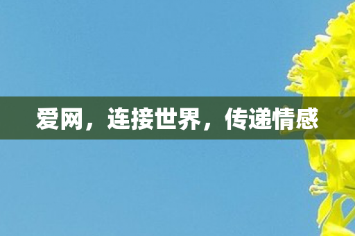 爱网,连接世界,传递情感 爱网,连接世界,传递情感