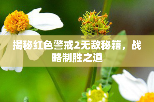 揭秘红色警戒2无敌秘籍，战略制胜之道