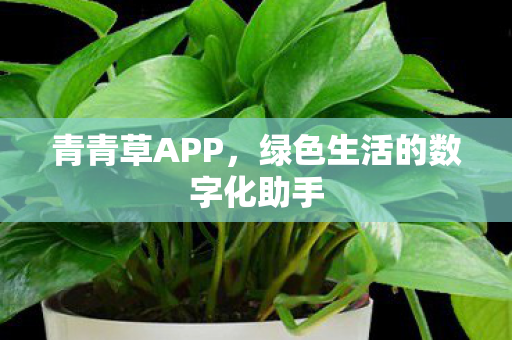 青青草APP,绿色生活的数字化助手 青青草APP,绿色生活的数字化助手