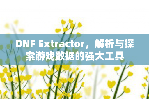 DNF Extractor，解析与探索游戏数据的强大工具