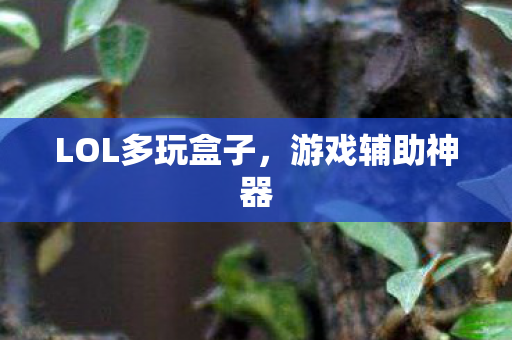 LOL多玩盒子,游戏辅助神器 LOL多玩盒子,游戏辅助神器