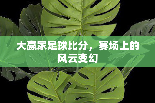 大赢家足球比分，赛场上的风云变幻