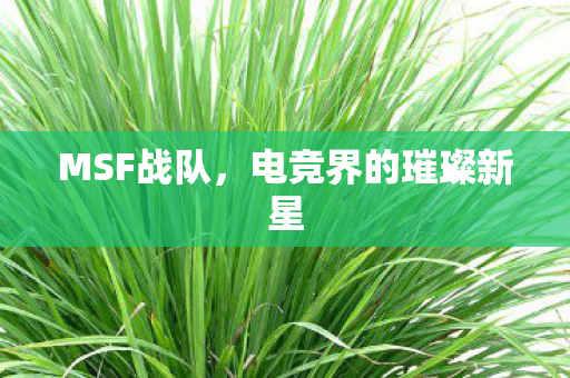 MSF战队，电竞界的璀璨新星