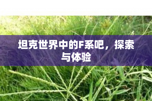 坦克世界中的F系吧，探索与体验