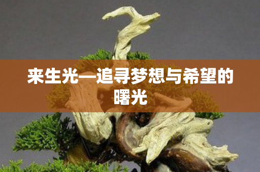 来生光—追寻梦想与希望的曙光