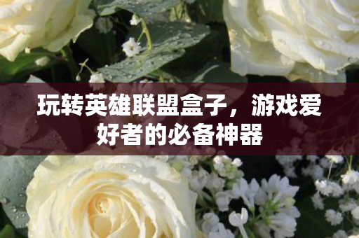 玩转英雄联盟盒子，游戏爱好者的必备神器