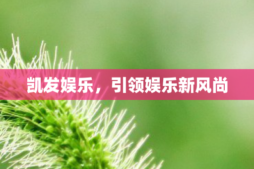 凯发娱乐，引领娱乐新风尚