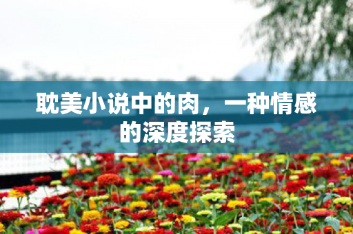 耽美小说中的肉，一种情感的深度探索