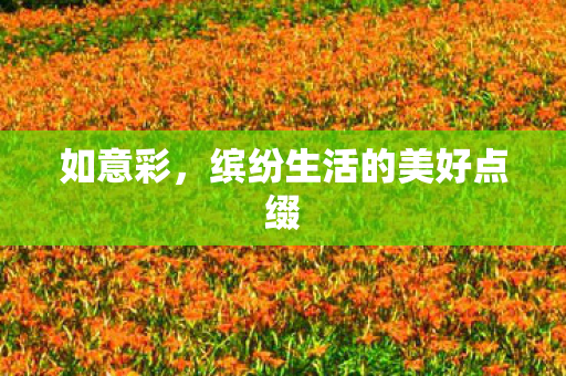 如意彩，缤纷生活的美好点缀