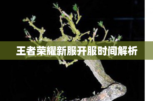 王者荣耀新服开服时间解析