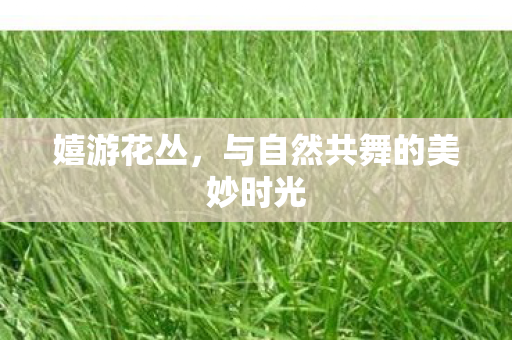 嬉游花丛，与自然共舞的美妙时光