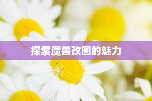 探索魔兽改图的魅力