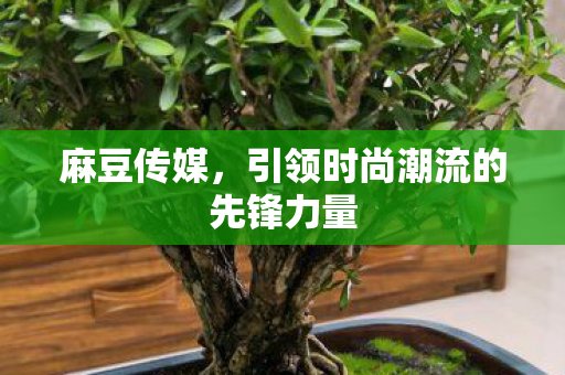 麻豆传媒,引领时尚潮流的先锋力量