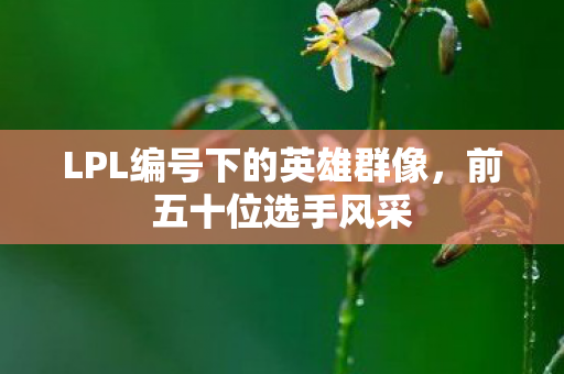 LPL编号下的英雄群像,前五十位选手风采