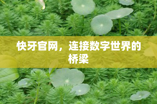 快牙官网,连接数字世界的桥梁 快牙官网,连接数字世界的桥梁