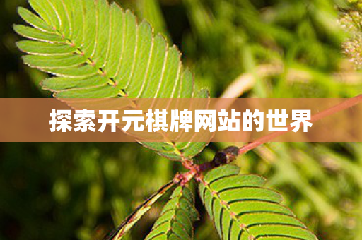 探索开元棋牌网站的世界