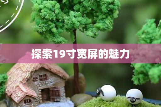 探索19寸宽屏的魅力 探索19寸宽屏的魅力