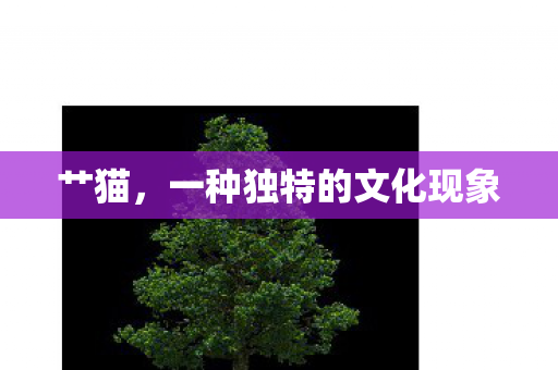 艹猫，一种独特的文化现象