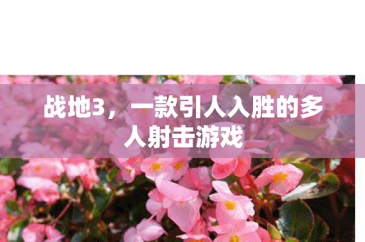 战地3，一款引人入胜的多人射击游戏