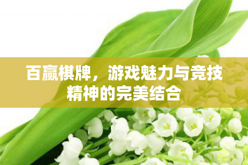 百赢棋牌,游戏魅力与竞技精神的完美结合 百赢棋牌,游戏魅力与竞技精神的完美结合