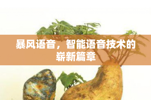 暴风语音，智能语音技术的崭新篇章