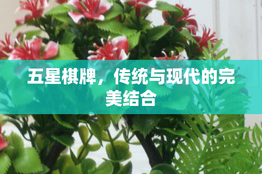 五星棋牌，传统与现代的完美结合
