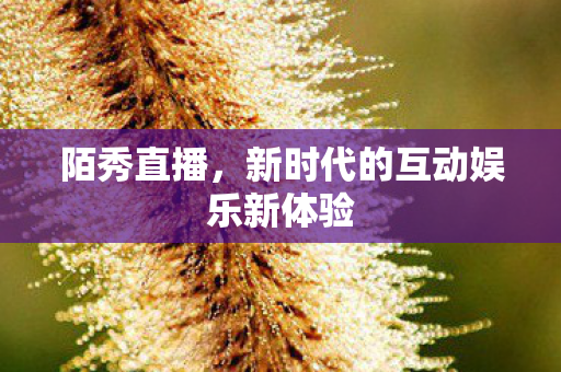 陌秀直播，新时代的互动娱乐新体验