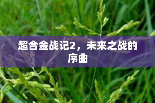 超合金战记2,未来之战的序曲 超合金战记2,未来之战的序曲