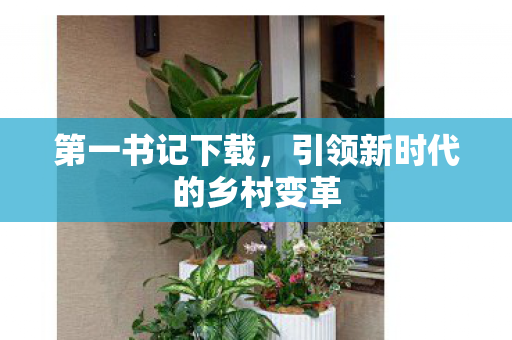 第一书记下载,引领新时代的乡村变革 第一书记下载,引领新时代的乡村变革